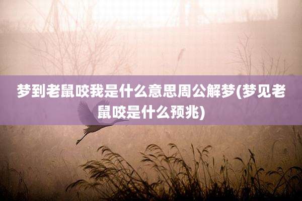 梦到老鼠咬我是什么意思周公解梦(梦见老鼠咬是什么预兆)