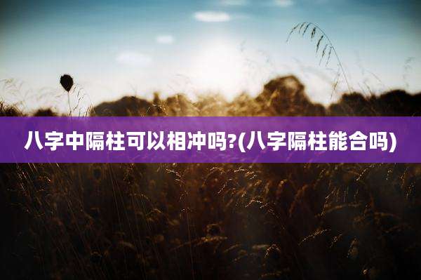 八字中隔柱可以相冲吗?(八字隔柱能合吗)
