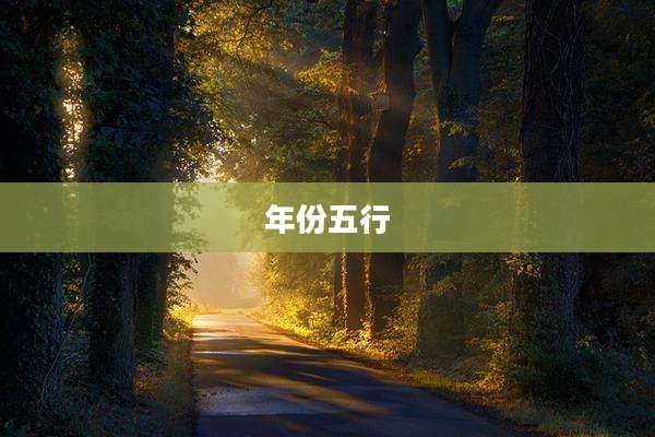 年份五行
