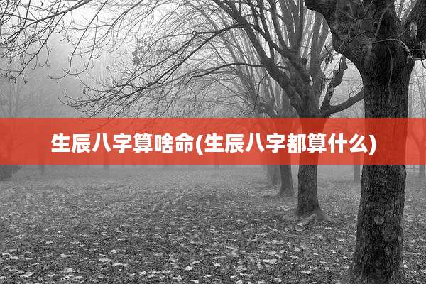 生辰八字算啥命(生辰八字都算什么)