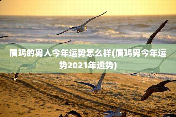 属鸡的男人今年运势怎么样(属鸡男今年运势2021年运势)