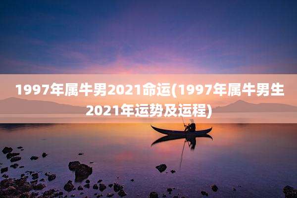 1997年属牛男2021命运(1997年属牛男生2021年运势及运程)