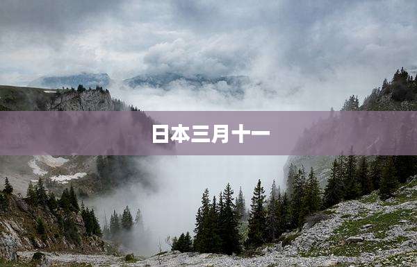 日本三月十一