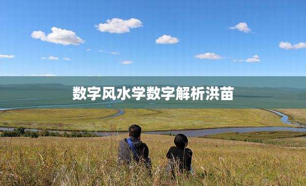 数字风水学数字解析洪苗