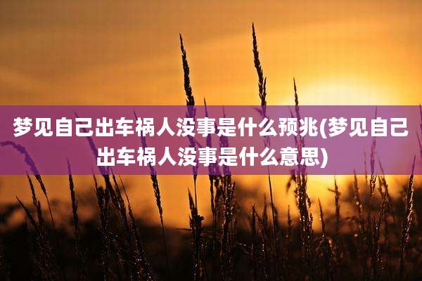 梦见自己出车祸人没事是什么预兆(梦见自己出车祸人没事是什么意思)