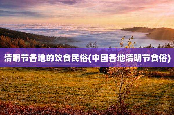 清明节各地的饮食民俗(中国各地清明节食俗)