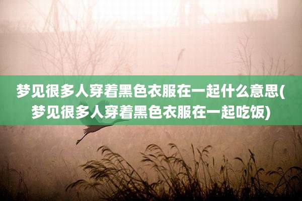 梦见很多人穿着黑色衣服在一起什么意思(梦见很多人穿着黑色衣服在一起吃饭)