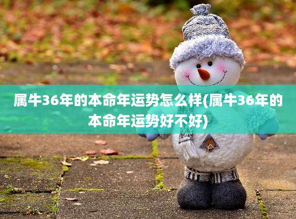 属牛36年的本命年运势怎么样(属牛36年的本命年运势好不好)