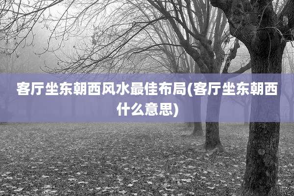 客厅坐东朝西风水最佳布局(客厅坐东朝西什么意思)