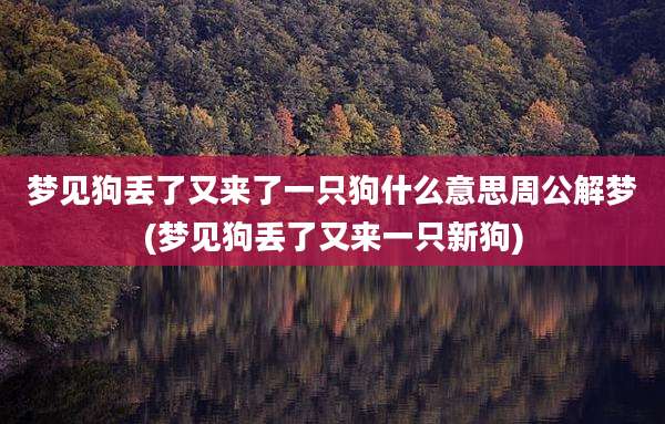 梦见狗丢了又来了一只狗什么意思周公解梦(梦见狗丢了又来一只新狗)