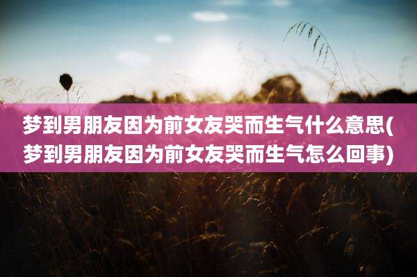 梦到男朋友因为前女友哭而生气什么意思(梦到男朋友因为前女友哭而生气怎么回事)