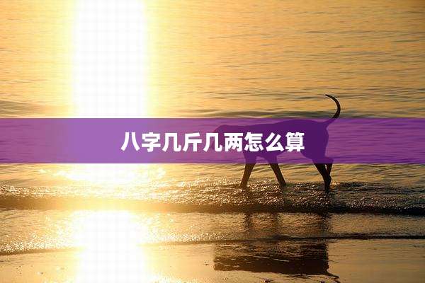 八字几斤几两怎么算