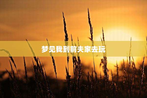 梦见我到前夫家去玩