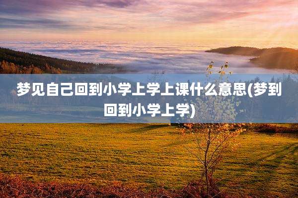 梦见自己回到小学上学上课什么意思(梦到回到小学上学)