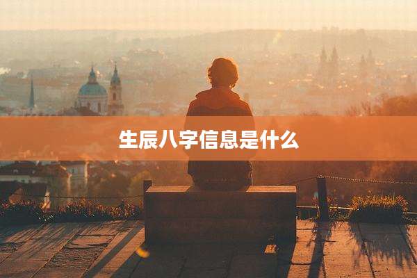 生辰八字信息是什么