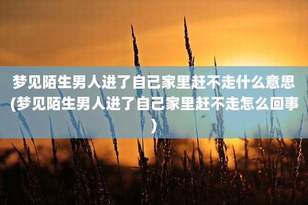 梦见陌生男人进了自己家里赶不走什么意思(梦见陌生男人进了自己家里赶不走怎么回事)