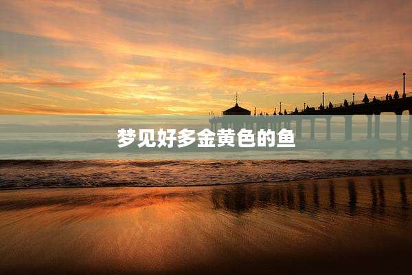 梦见好多金黄色的鱼