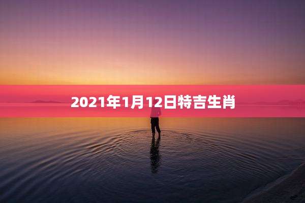 2021年1月12日特吉生肖