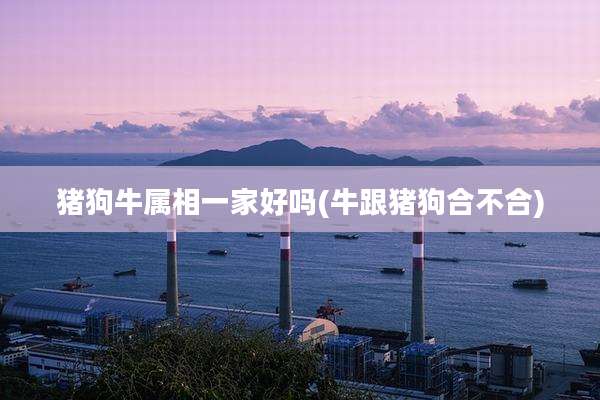 猪狗牛属相一家好吗(牛跟猪狗合不合)