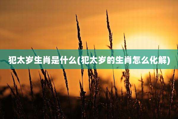 犯太岁生肖是什么(犯太岁的生肖怎么化解)