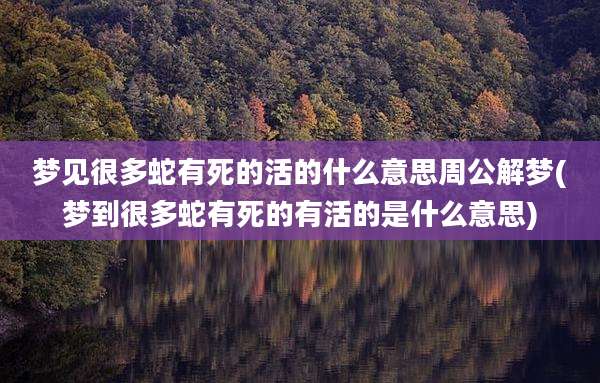 梦见很多蛇有死的活的什么意思周公解梦(梦到很多蛇有死的有活的是什么意思)