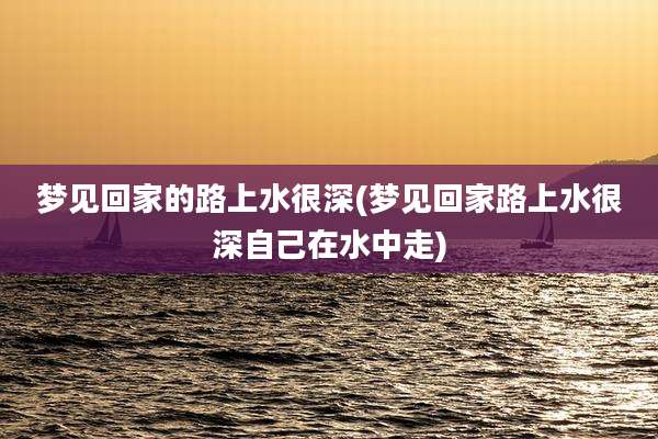 梦见回家的路上水很深(梦见回家路上水很深自己在水中走)