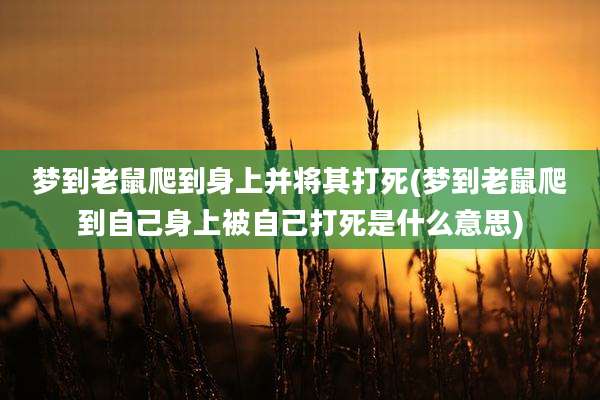 梦到老鼠爬到身上并将其打死(梦到老鼠爬到自己身上被自己打死是什么意思)