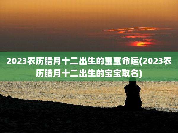 2023农历腊月十二出生的宝宝命运(2023农历腊月十二出生的宝宝取名)