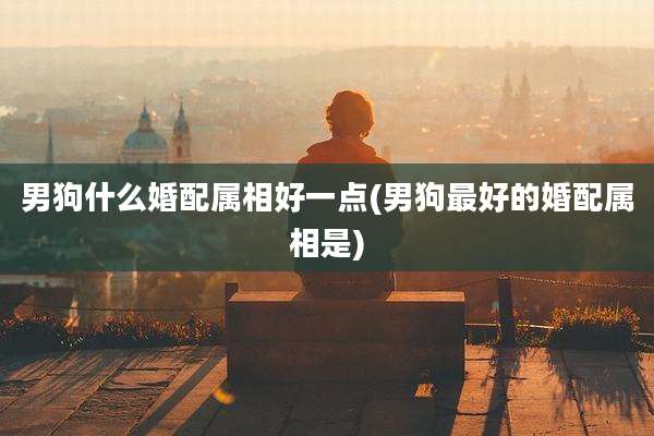 男狗什么婚配属相好一点(男狗最好的婚配属相是)