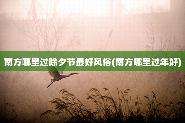 南方哪里过除夕节最好风俗(南方哪里过年好)