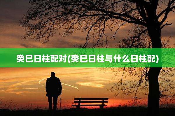 癸巳日柱配对(癸巳日柱与什么日柱配)