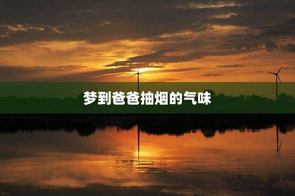 梦到爸爸抽烟的气味