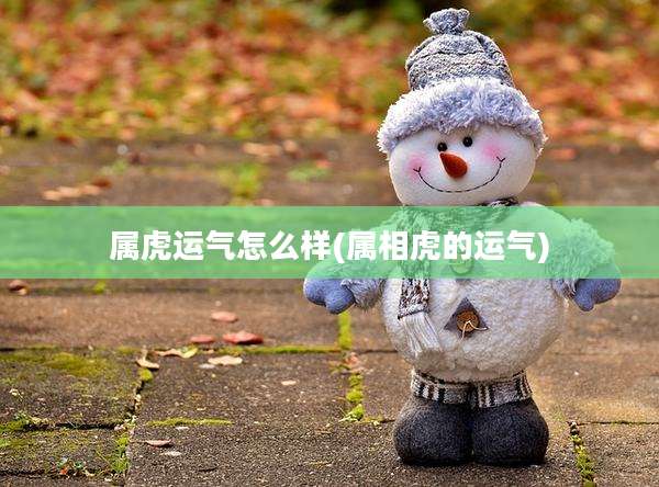 属虎运气怎么样(属相虎的运气)