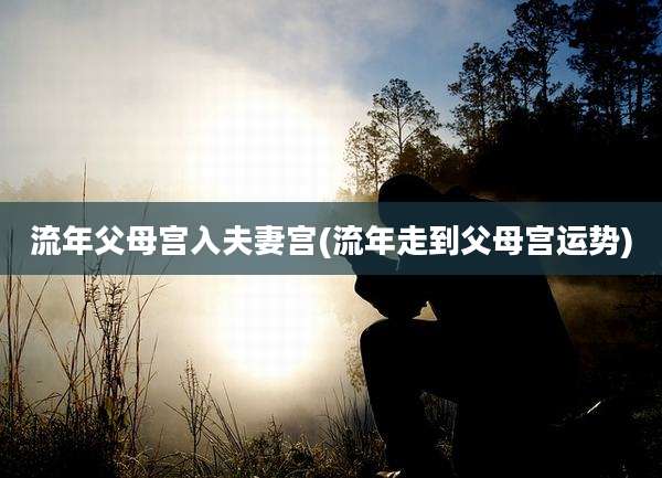 流年父母宫入夫妻宫(流年走到父母宫运势)