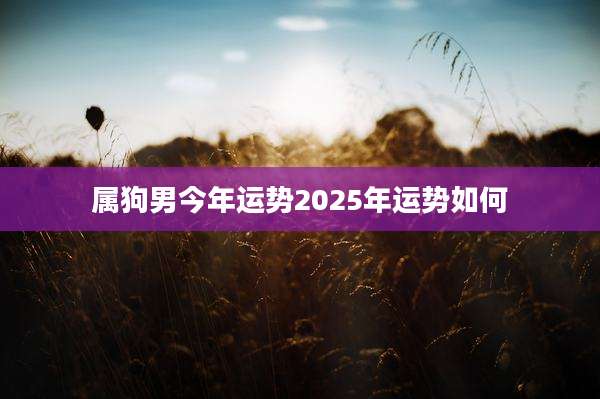 属狗男今年运势2025年运势如何