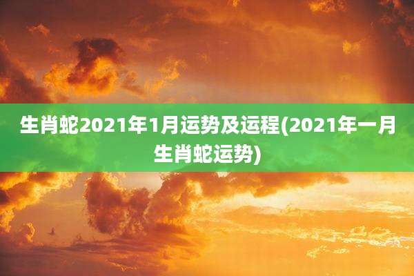 生肖蛇2021年1月运势及运程(2021年一月生肖蛇运势)