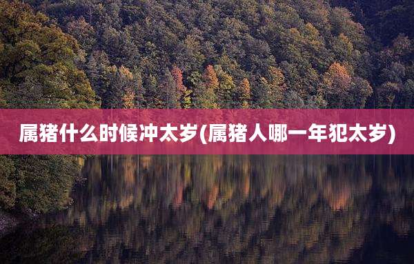 属猪什么时候冲太岁(属猪人哪一年犯太岁)