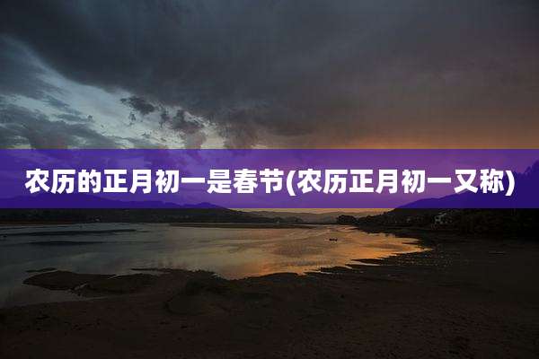农历的正月初一是春节(农历正月初一又称)