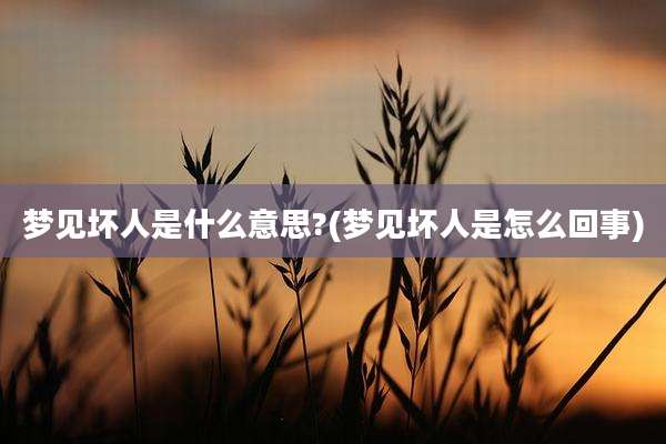 梦见坏人是什么意思?(梦见坏人是怎么回事)
