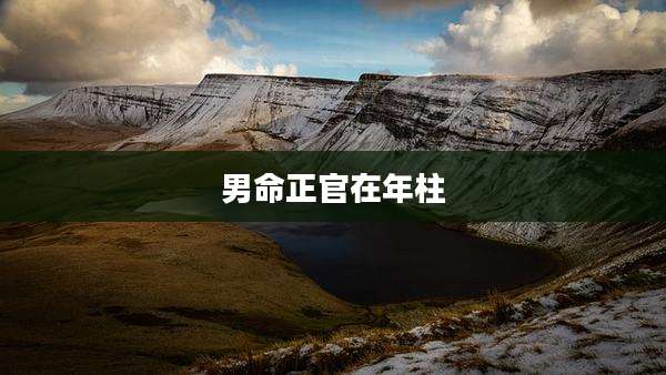 男命正官在年柱