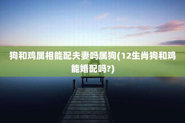 狗和鸡属相能配夫妻吗属狗(12生肖狗和鸡能婚配吗?)
