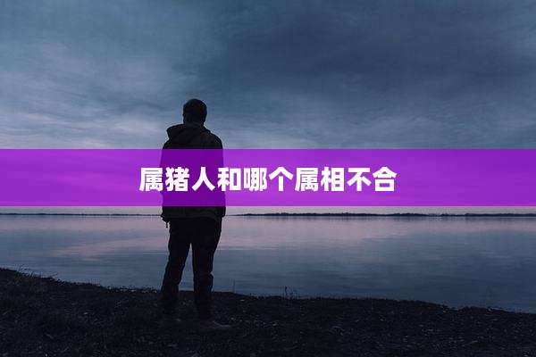 属猪人和哪个属相不合