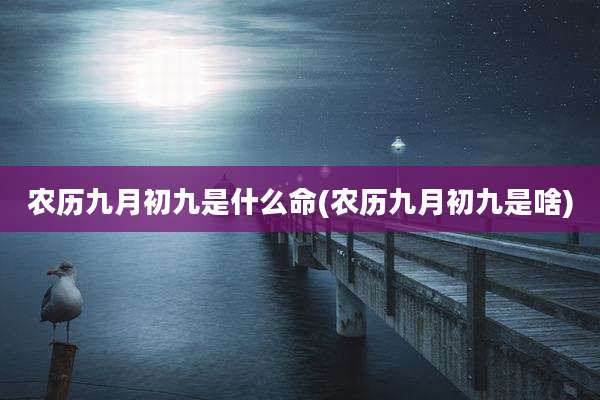农历九月初九是什么命(农历九月初九是啥)
