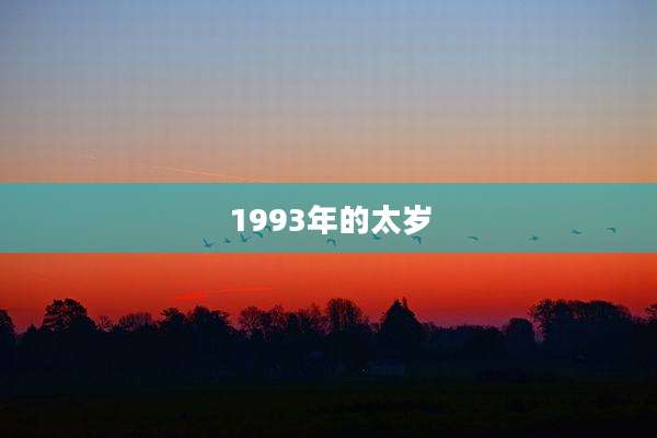 1993年的太岁
