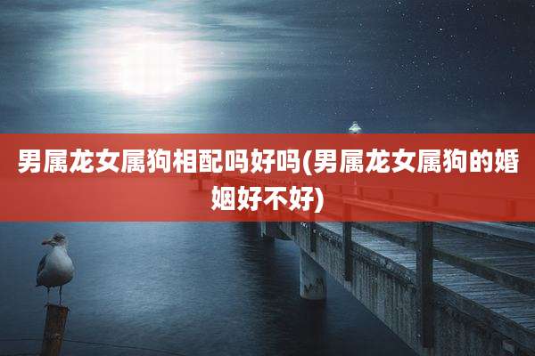 男属龙女属狗相配吗好吗(男属龙女属狗的婚姻好不好)