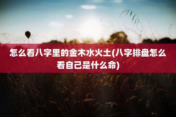 怎么看八字里的金木水火土(八字排盘怎么看自己是什么命)