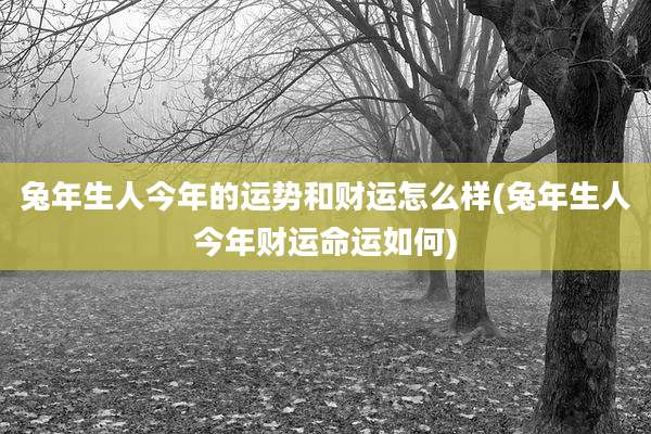 兔年生人今年的运势和财运怎么样(兔年生人今年财运命运如何)