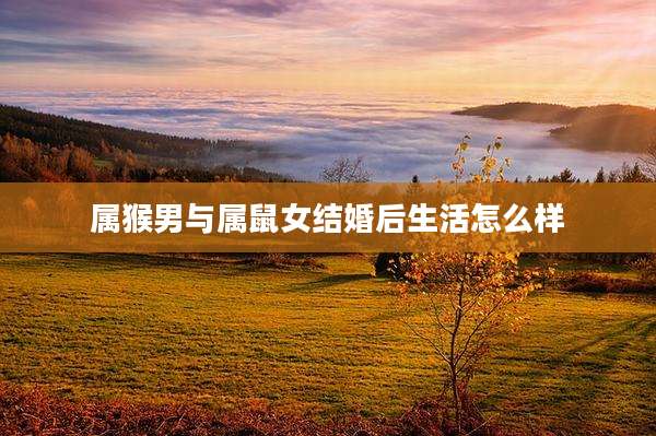 属猴男与属鼠女结婚后生活怎么样