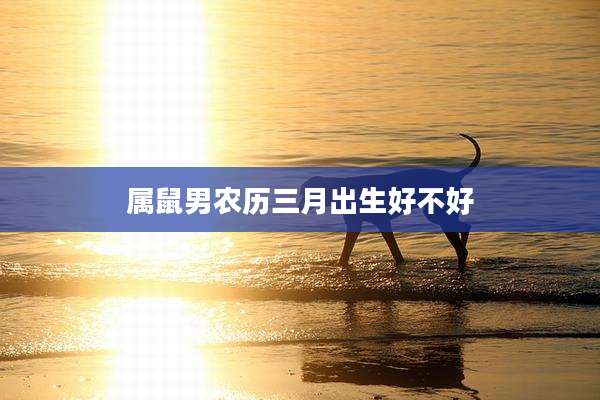 属鼠男农历三月出生好不好