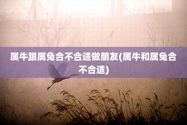 属牛跟属兔合不合适做朋友(属牛和属兔合不合适)